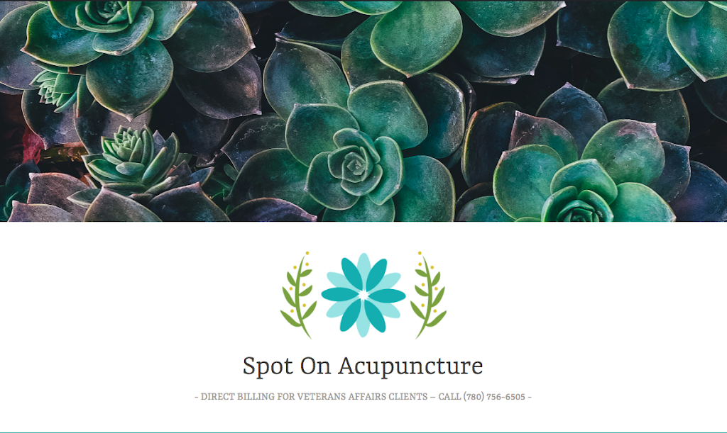 Spot On Acupuncture | 240 Manning Crossing NW, Edmonton, AB T5A 5A1, Canada | Phone: (780) 756-6505