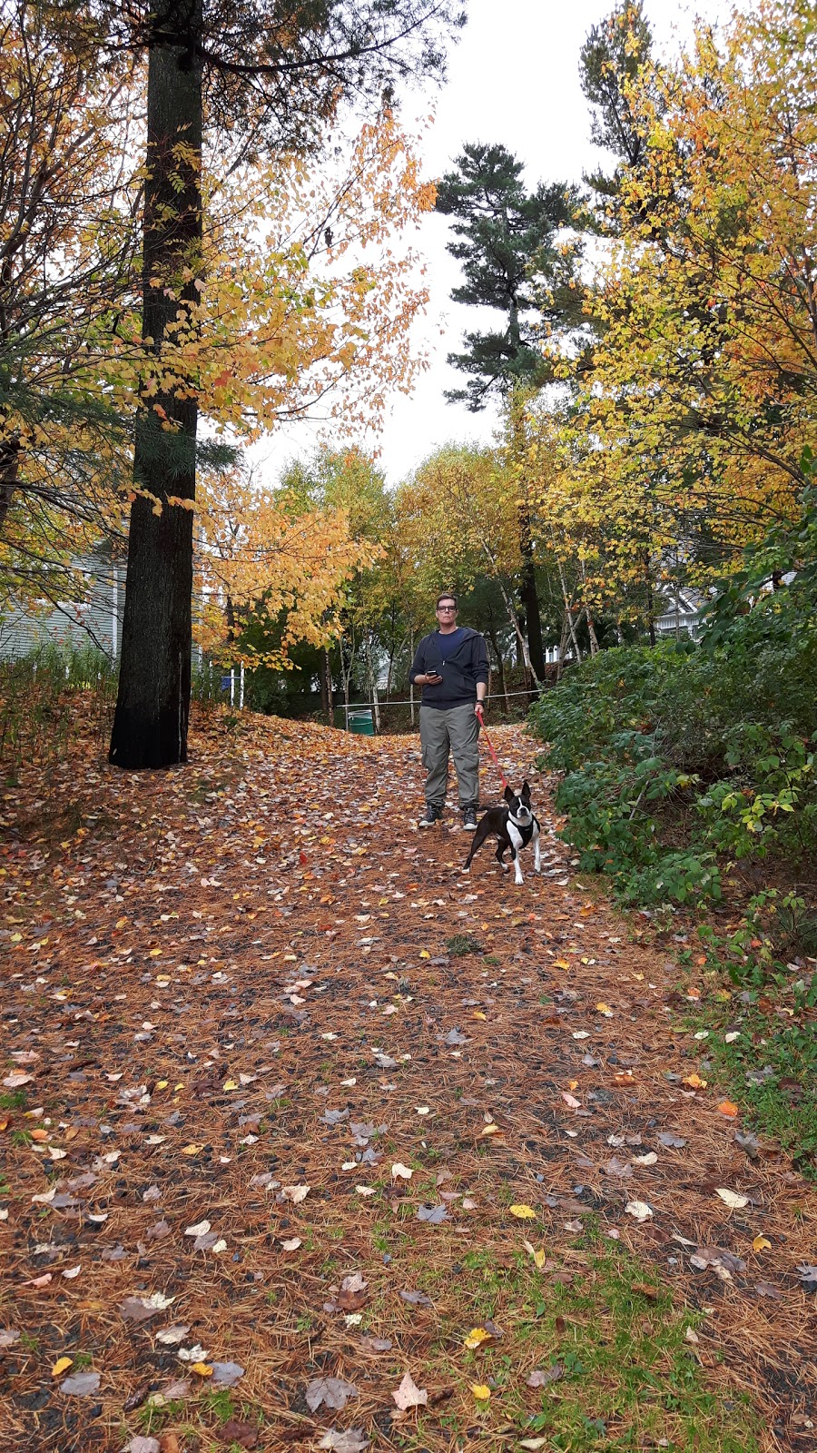 Regatta Point Walkway | 1162 Purcells Cove Rd, Halifax, NS B3N 1R4, Canada