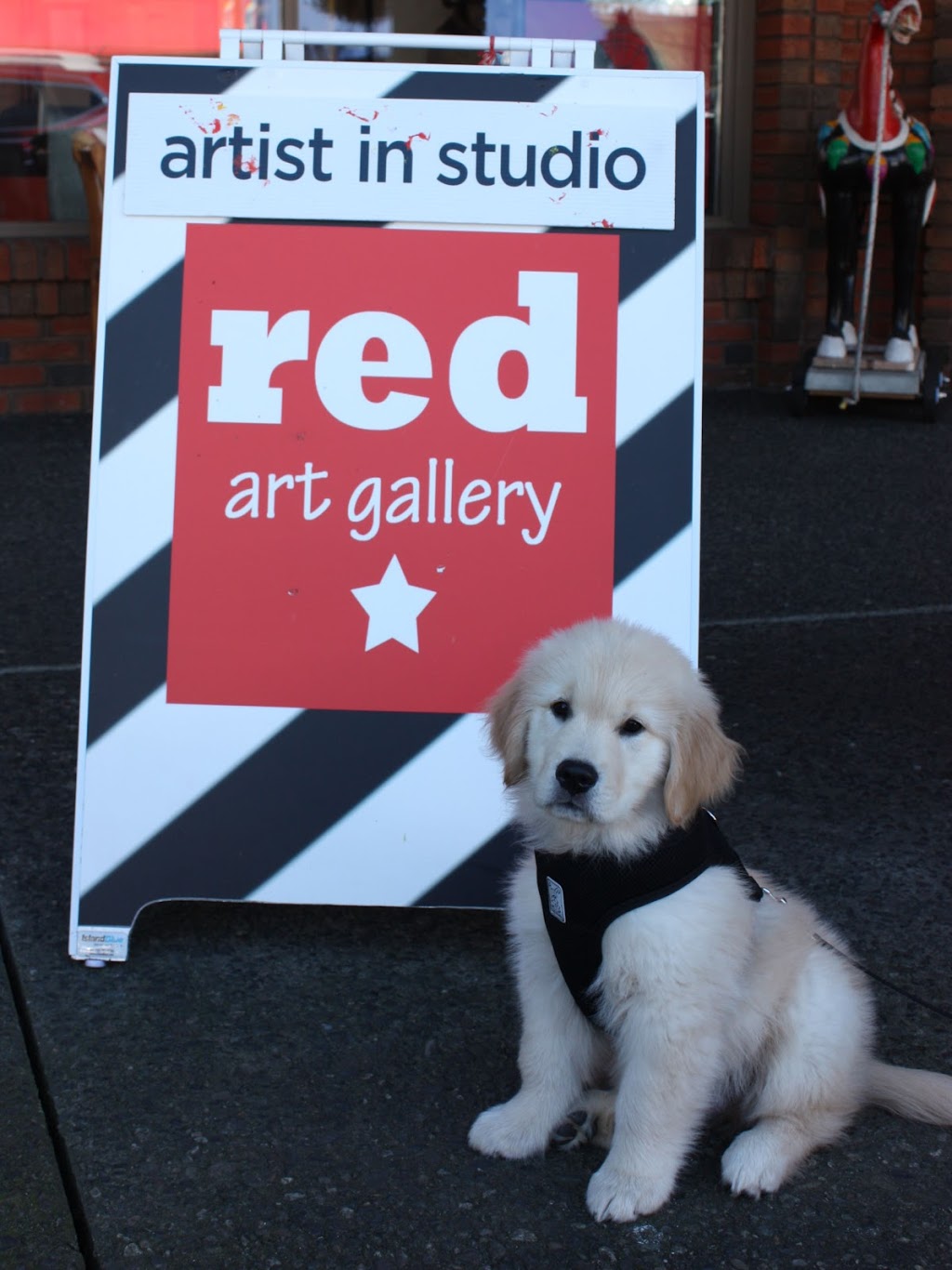 Red Art Gallery | 10204 Surfside Pl, Sidney, BC V8L 3R5, Canada | Phone: (250) 881-0462