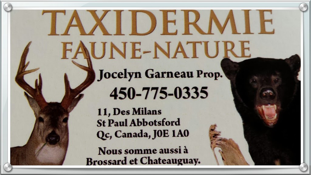 Taxidermie taxidermiste Faune Nature | 11 Rue des Milans, Saint-Paul-dAbbotsford, QC J0E 1A0, Canada | Phone: (450) 775-0335