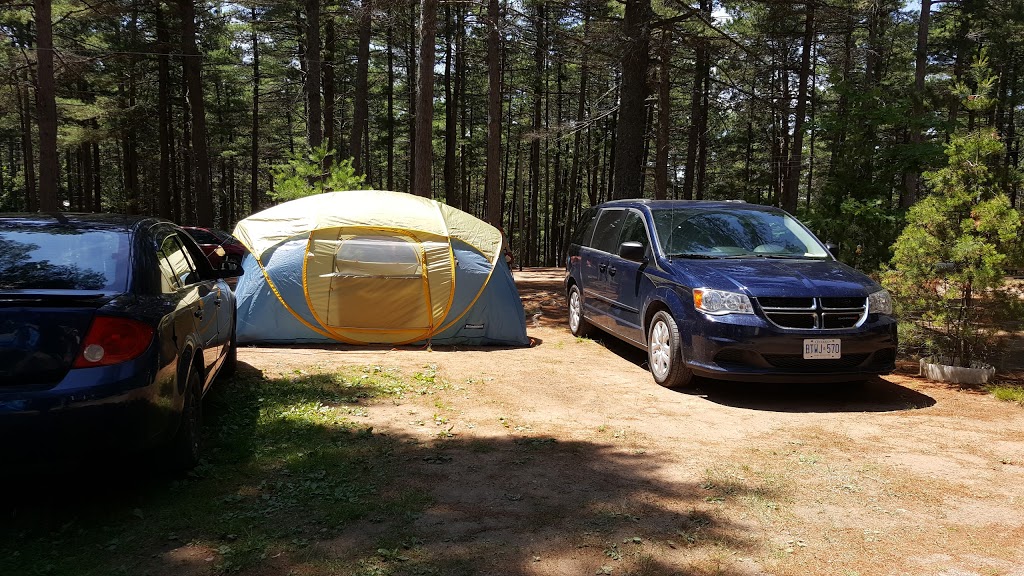 Sherwood Forest Camping Park | 6890 Nova Scotia Trunk 1, Coldbrook, NS B4R 1C5, Canada | Phone: (902) 679-6632