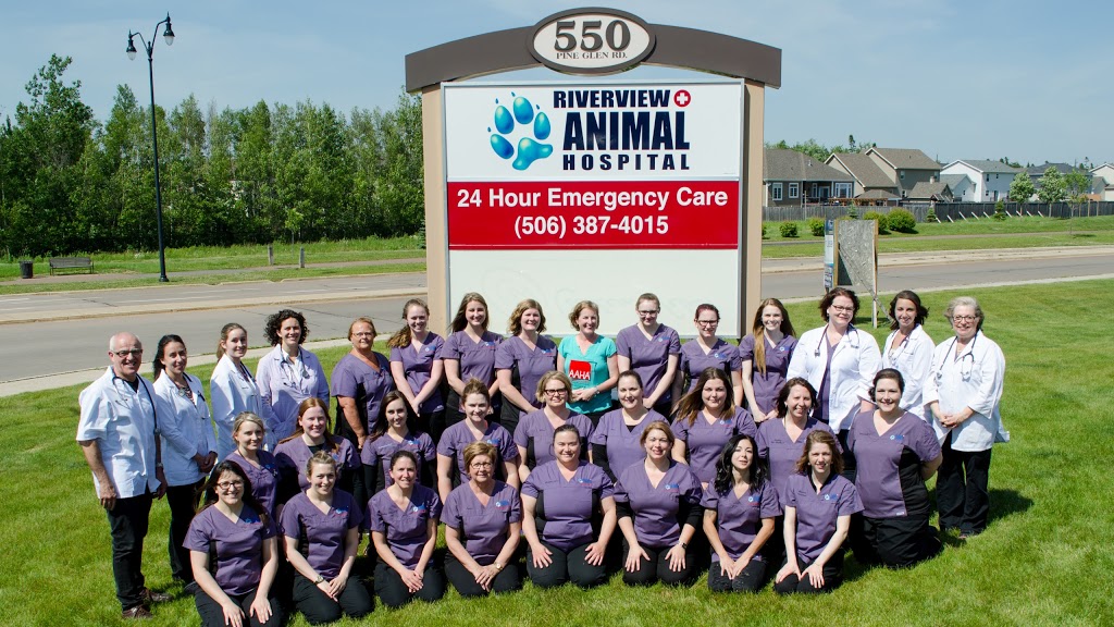 Riverview Animal Hospital | 550 Pine Glen Rd, Riverview, NB E1B 4X2, Canada | Phone: (506) 387-4015
