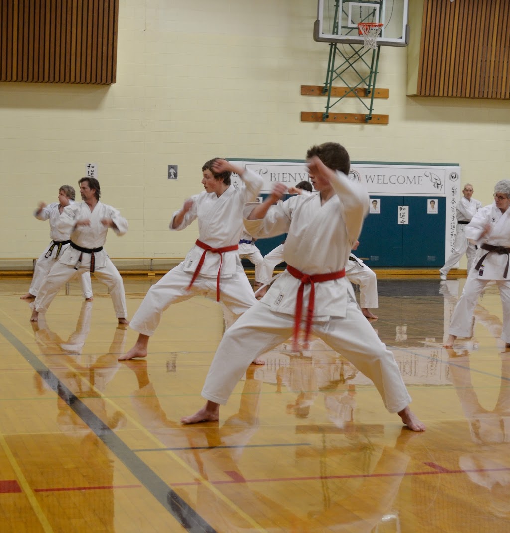 Karate Kawartha Lakes - Lindsay | 50 Mary St W, Lindsay, ON K9V 2N6, Canada | Phone: (705) 928-3400