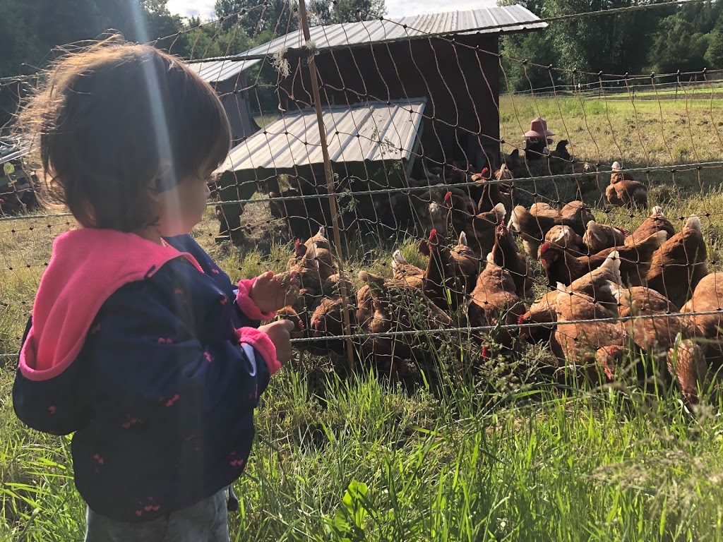 UBC Farm Farmers Market | 3461 Ross Drive, Vancouver, BC V6T 1W5, Canada | Phone: (604) 822-5092