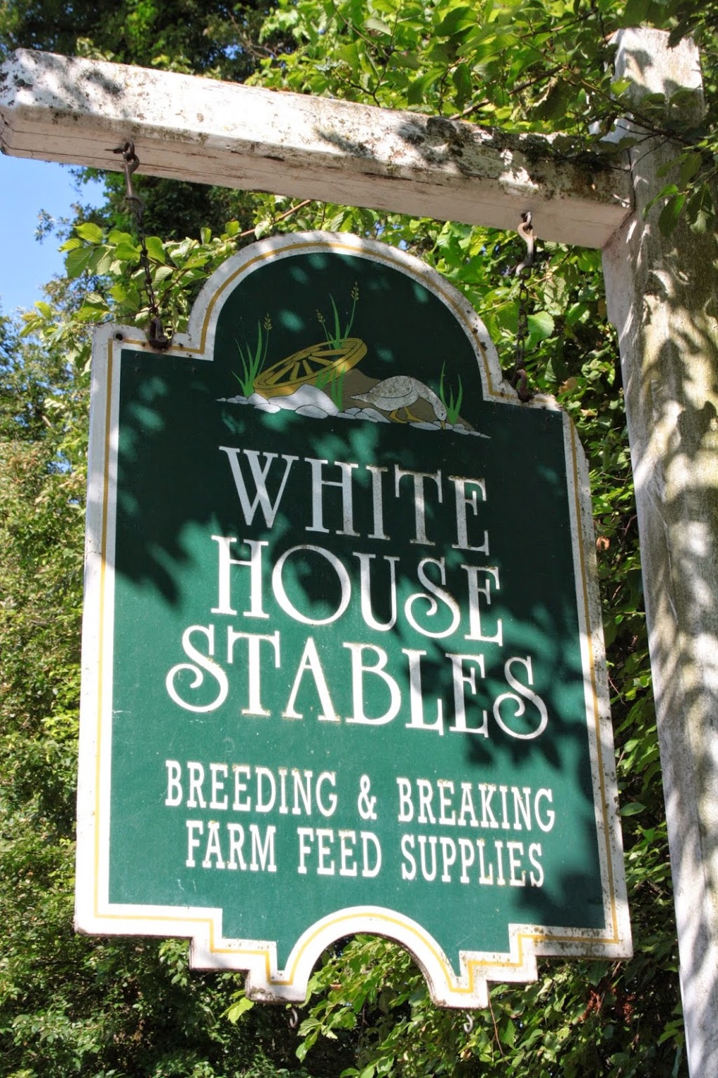 White House Stables | 9774 W Saanich Rd, North Saanich, BC V8L 5T5, Canada | Phone: (250) 656-8701