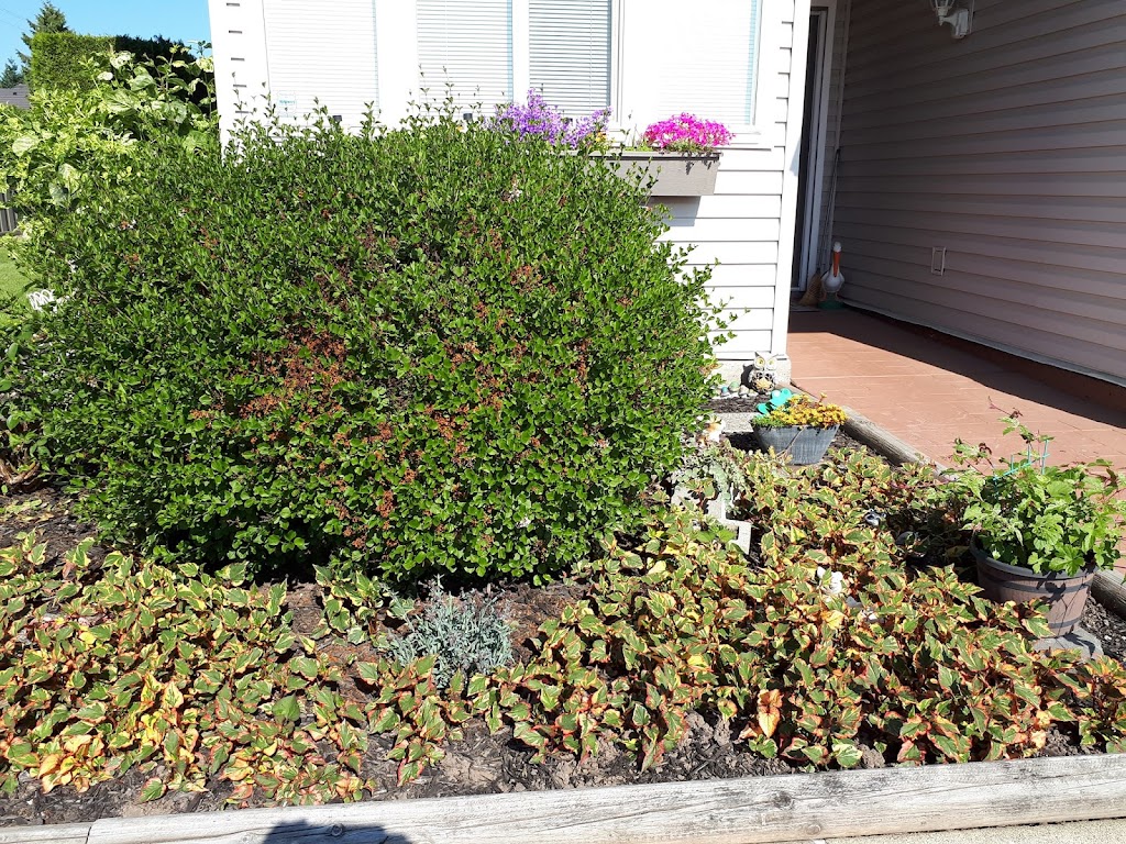 Inside Out Building & Landscape Maintenance | 13427 Marine Dr, Surrey, BC V4A 1G1, Canada | Phone: (778) 288-4001