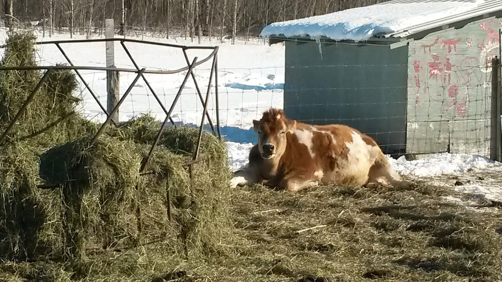 Good Note Community Farm | 510 Township Rd 510, New Sarepta, AB T0B 3M0, Canada | Phone: (780) 941-2341