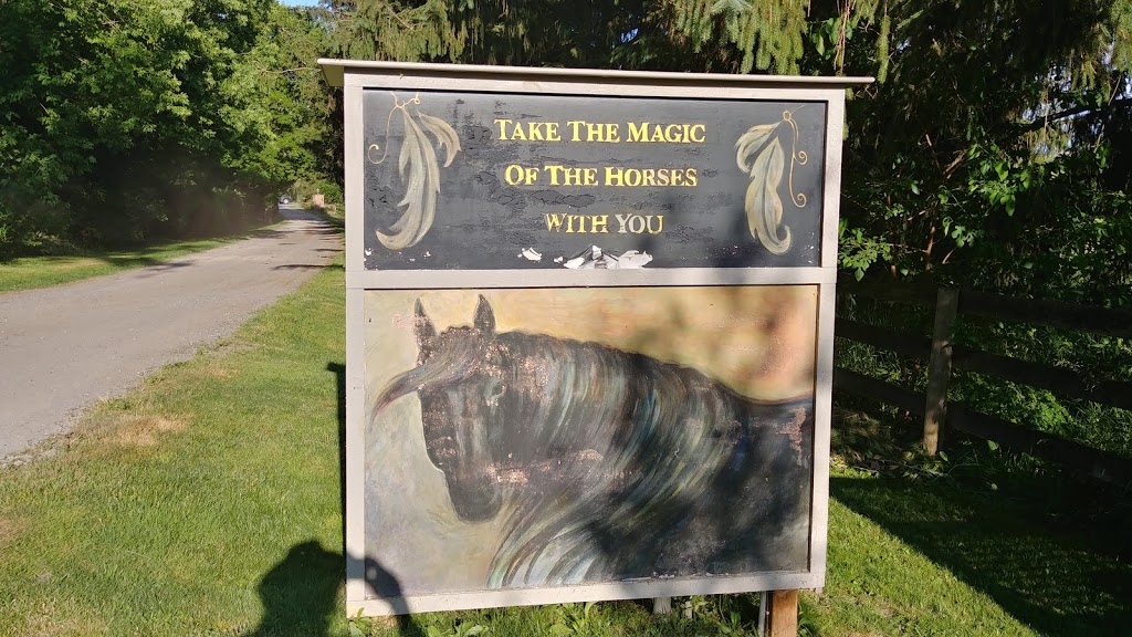 Horse Spirit Connections | 10th Side Rd, Tottenham, ON L0G 1W0, Canada | Phone: (416) 520-6276
