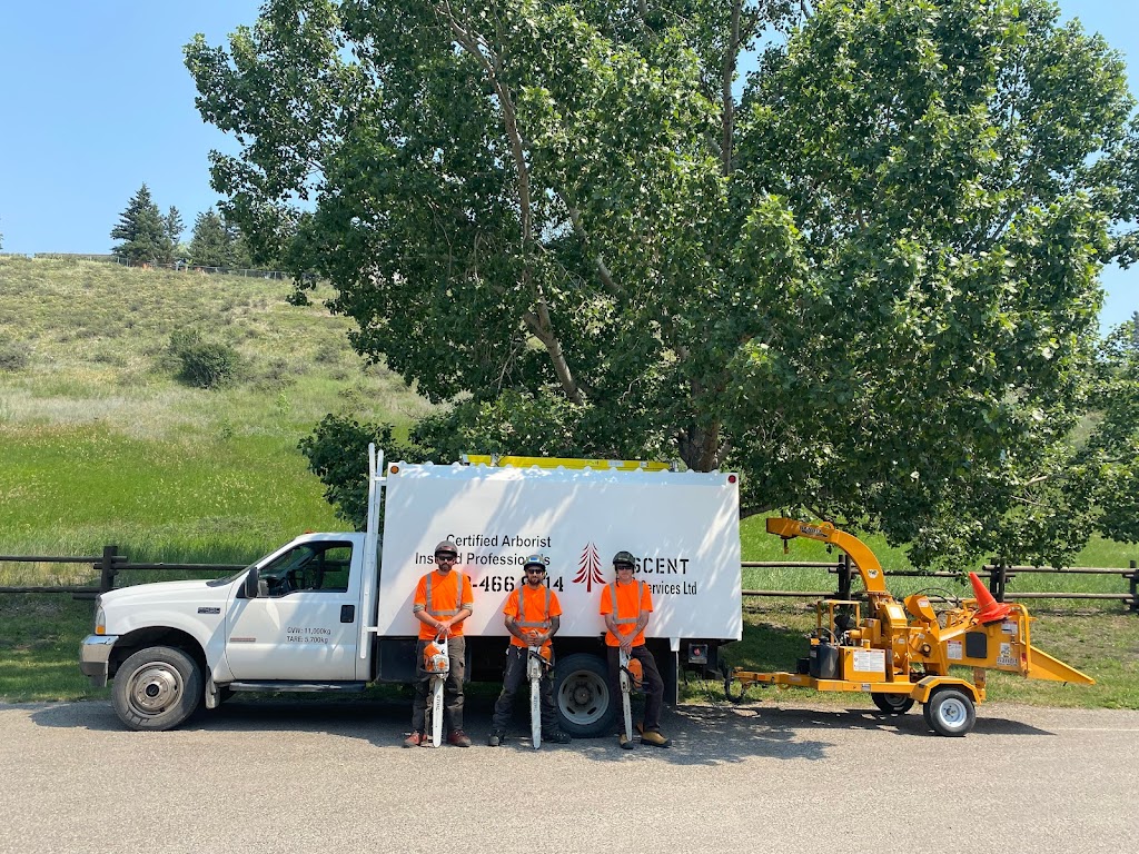 Ascent Tree Services Ltd. | 184 Sundown Rd, Cochrane, AB T4C 2M5, Canada | Phone: (403) 466-8414