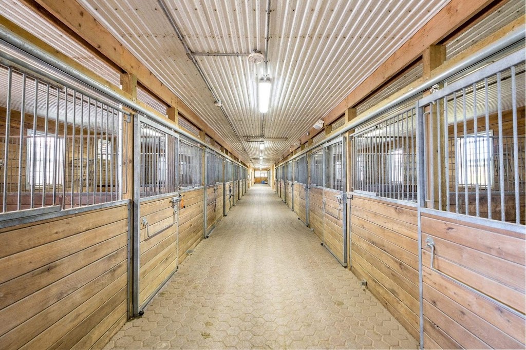 Lynden View Equestrian | 3887 Weimar Line, Wellesley, ON N0B 2T0, Canada | Phone: (519) 820-0513