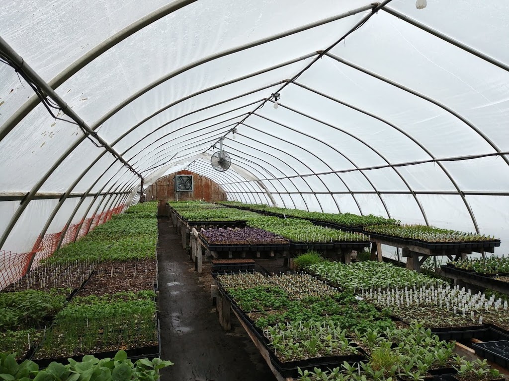 Trout Lily Organic Plant Nursery | 5877 Fourth Line, Guelph/Eramosa, ON N0B 2K0, Canada | Phone: (226) 979-0062