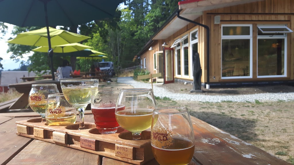 Salt Spring Wild Cider House | 151 Sharp Rd, Salt Spring Island, BC V8K 2P6, Canada | Phone: (250) 931-5554