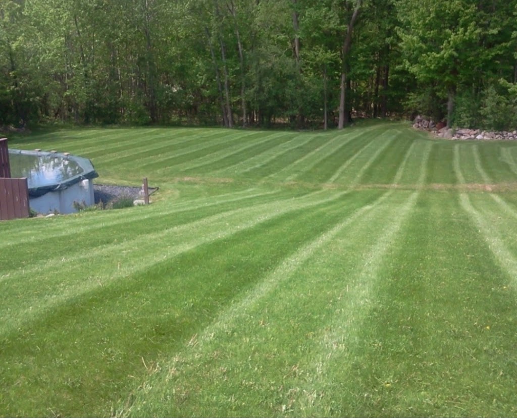 Springfield landscaping | 54 Rue de Beauharnois O, Montréal, QC H2N 1J5, Canada | Phone: (514) 594-0425