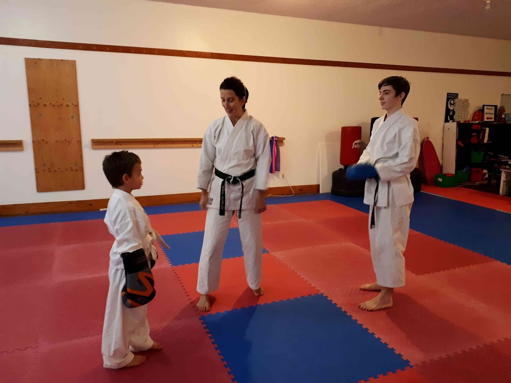 Port Alberni Wado Kai Karate | 4090 Hollywood St, Port Alberni, BC V9Y 4B3, Canada | Phone: (250) 735-9394