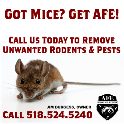 A.F.E Nuisance Wildlife Control | 1211 Lake Shore Rd, Chazy, NY 12921, USA | Phone: (518) 524-5240