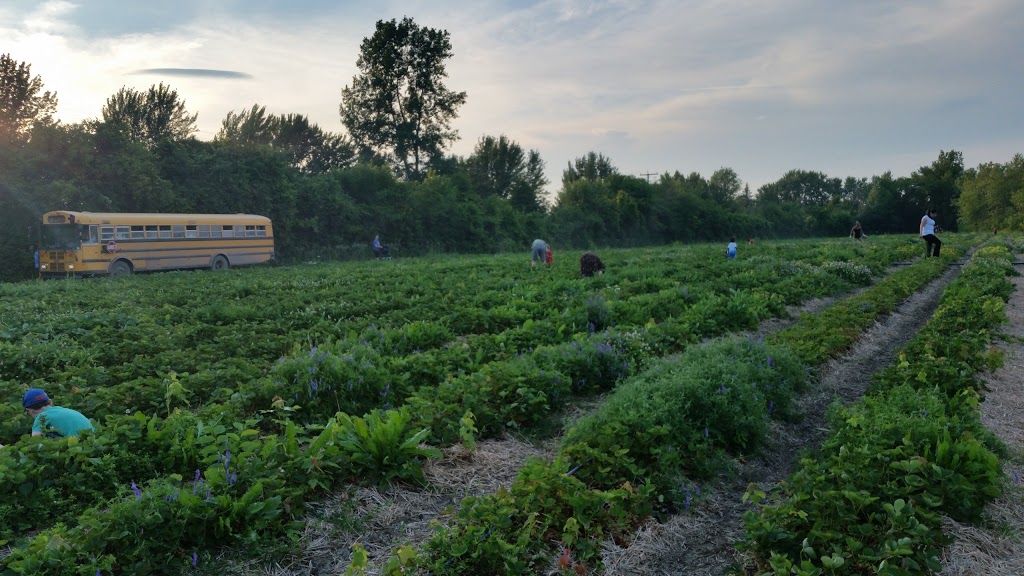 Ferme Sauriol | 3150 Boulevard des Mille-Îles, Laval, QC H7J 1C9, Canada | Phone: (450) 666-6564