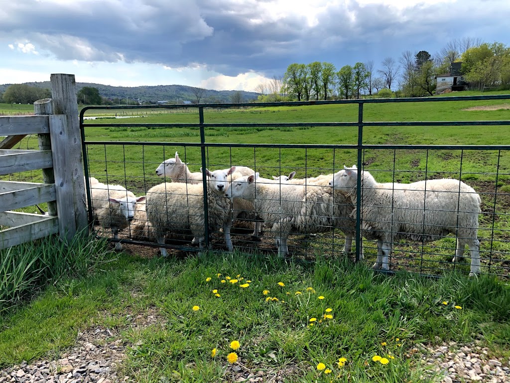 Mike Oulton Meat Store - Martock Glen Farm | 5246 NS-14, Windsor, NS B0N 2T0, Canada | Phone: (902) 798-4734