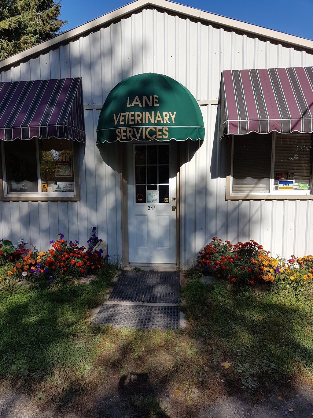 Lane Veterinary Services | 211 McQuay Rd, Yarker, ON K0K 3N0, Canada | Phone: (613) 358-2833