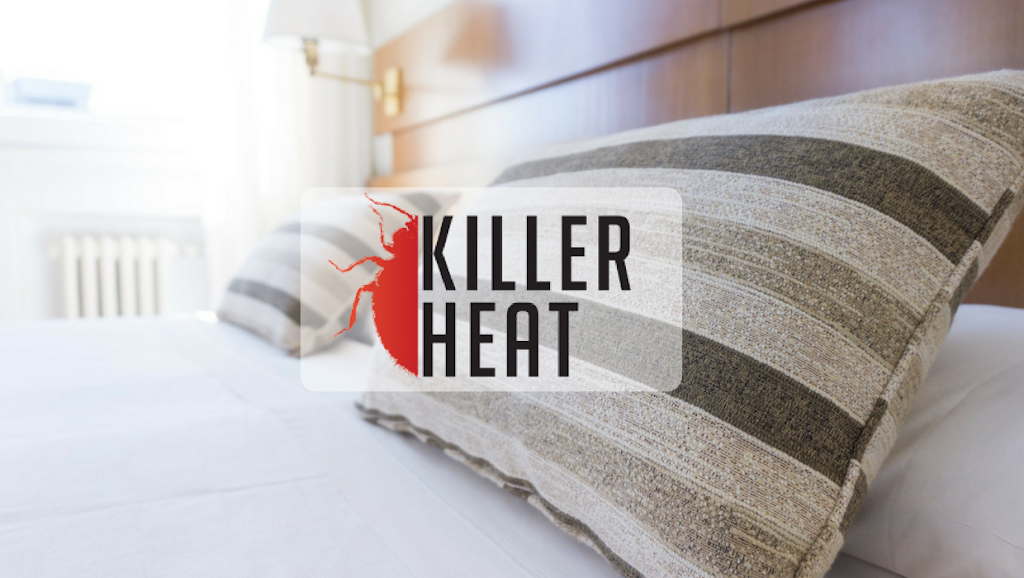 Killer Heat Bed Bug Extermination | 25 Chinook Rd, Regina, SK S4S 5C3, Canada | Phone: (306) 530-4335