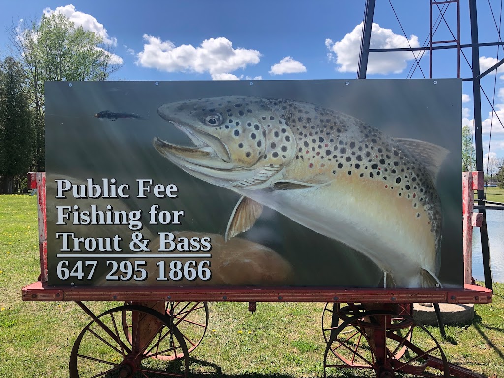 Public Fee Fishing | 25472 Lake Ridge Rd, Georgina, ON L0E 1N0, Canada | Phone: (647) 295-1866