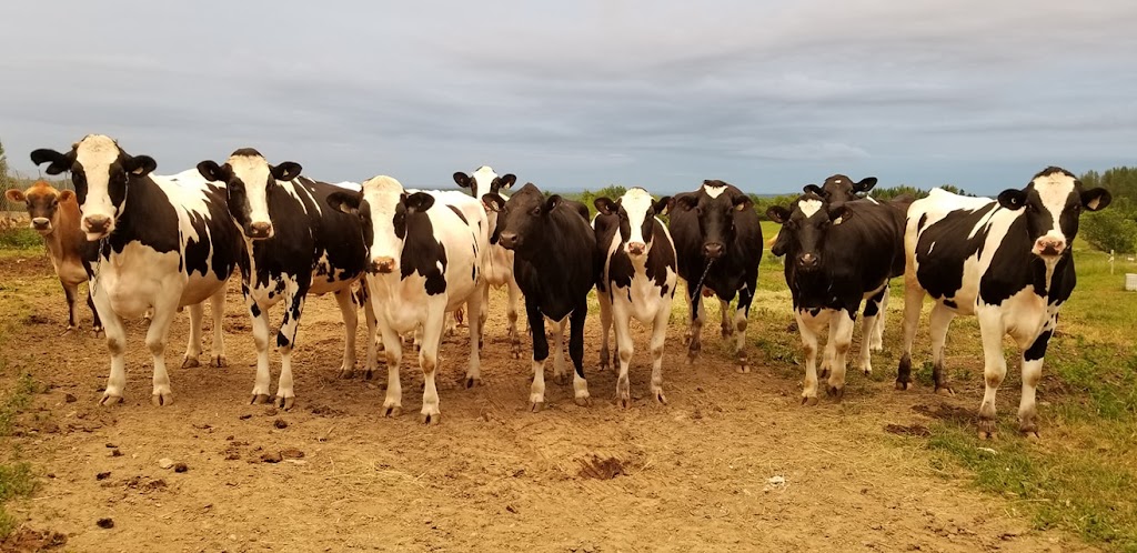 De la Ferme à la Fourchette | 283 Rue Veilleux, Saint-Victor, QC G0M 2B0, Canada | Phone: (418) 333-1202