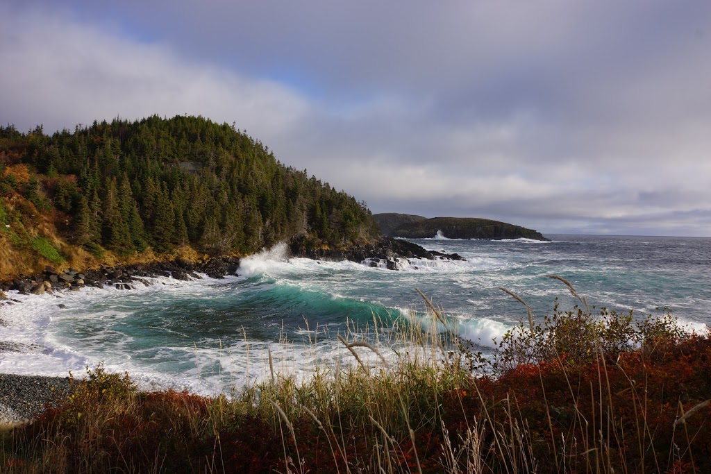 Irish Loop Oceanside Chalet | 24 Mickey Broads Place, Box 24, Site 2, Bauline East, NL A0A 4A0, Canada | Phone: (709) 330-8439