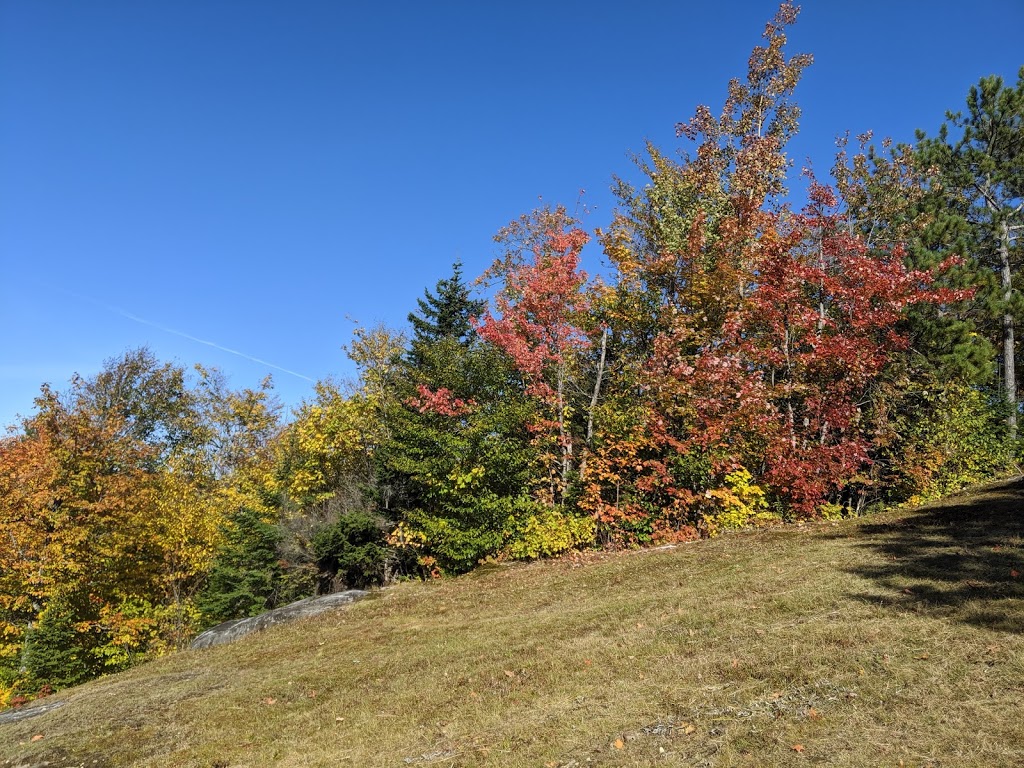 Mont Avalanche Ski | 1657 Chemin de lAvalanche, Saint-Adolphe-dHoward, QC J0T 2B0, Canada | Phone: (819) 327-3232