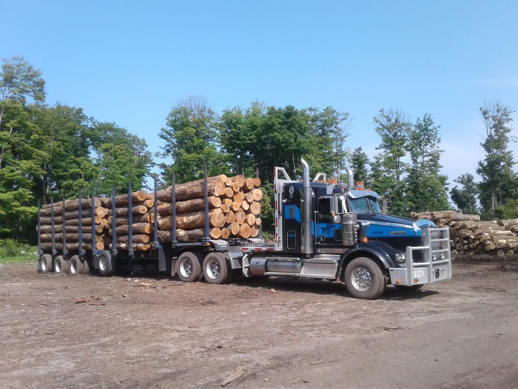 Haliburton Forest Sawmill | 3798 Kennisis Lake Rd, Dysart et al, ON K0M 1S0, Canada | Phone: (800) 631-2198