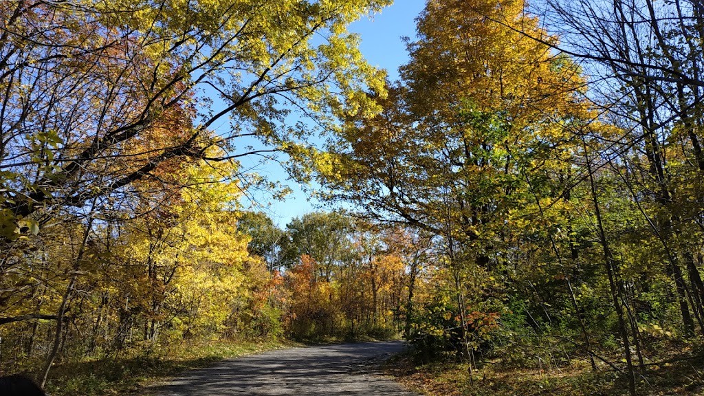 Mount Royal Lookout | 1576 Voie Camillien-Houde, Montréal, QC H2W 1S8, Canada | Phone: (514) 843-8240