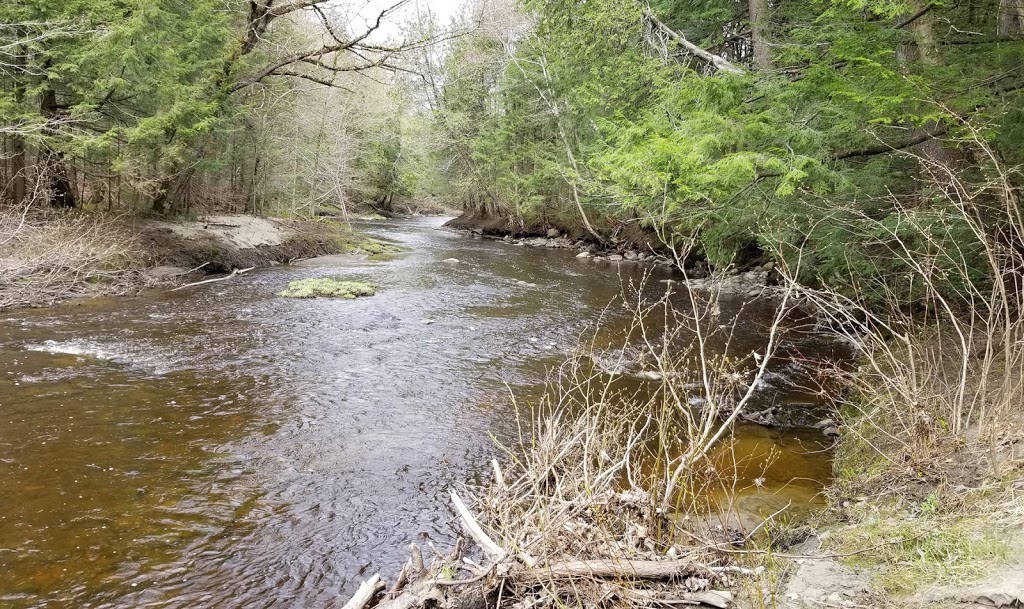 Rivière Aulneuse | Saint-Nicolas, Levis, QC G7A 4P6, Canada