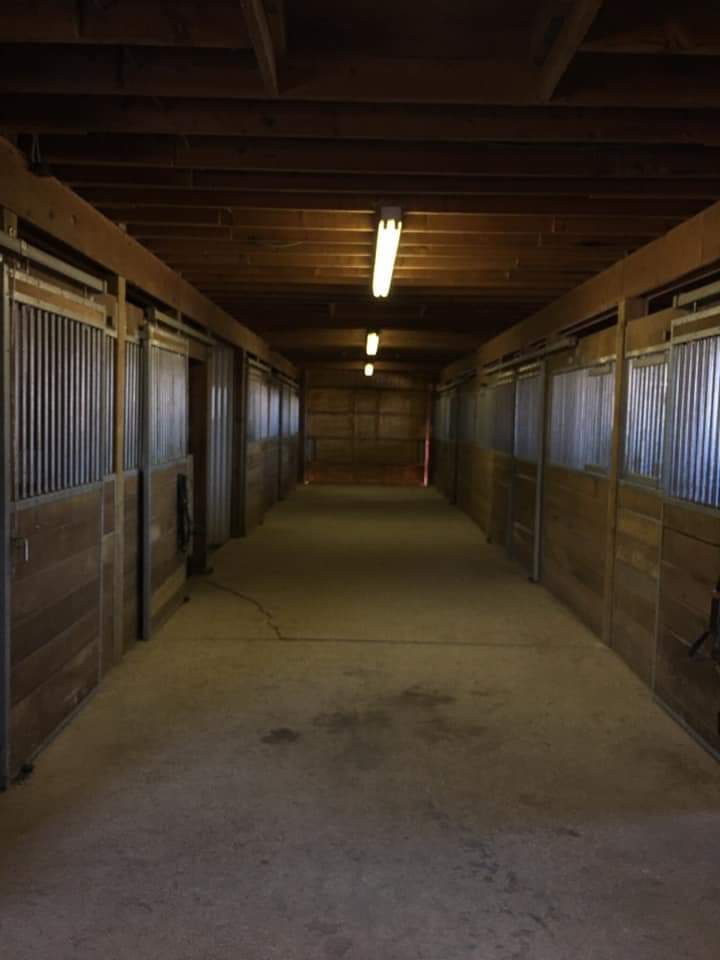 Hickory Hill Stables | 2507 Bickford Line, Brigden, ON N0N 1B0, Canada | Phone: (519) 864-4473