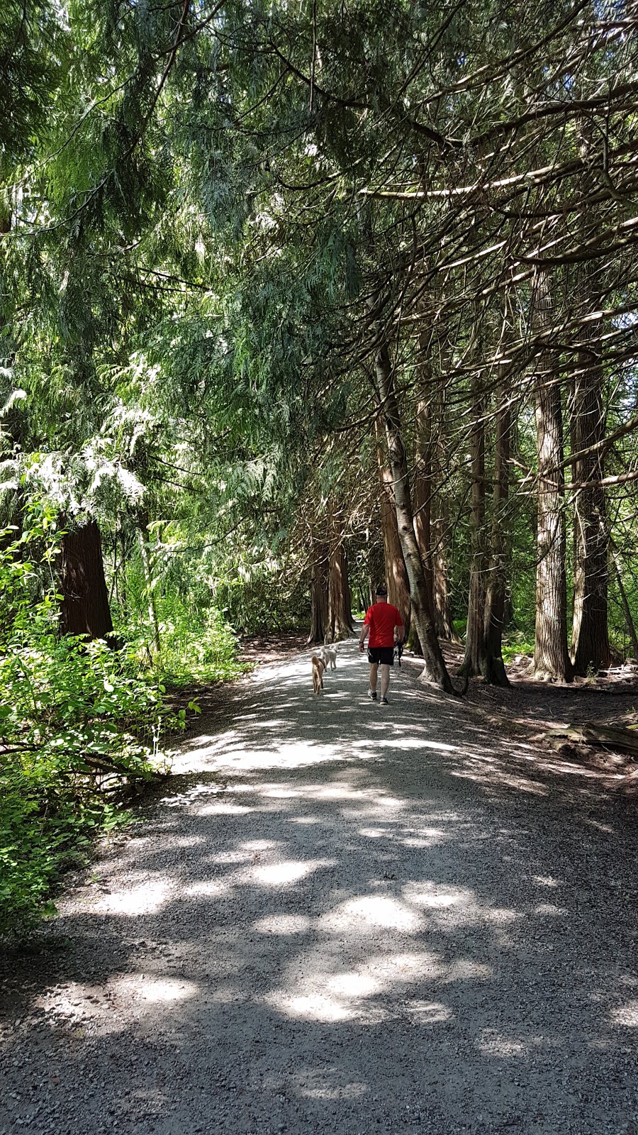 Pitt River Regional Greenway | 11208 Harris Rd, Pitt Meadows, BC V3Y 1Z1, Canada | Phone: (604) 432-6350