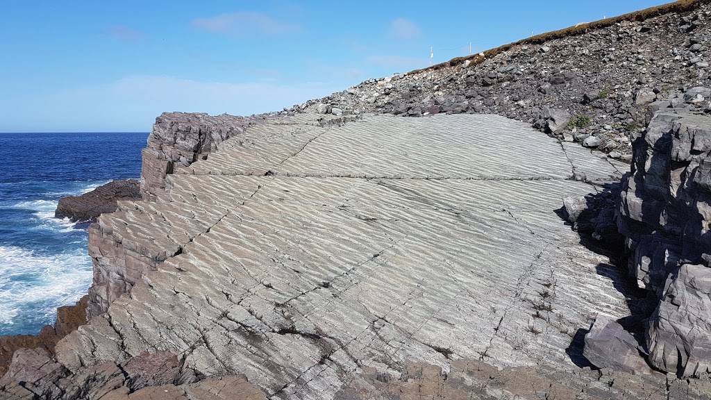 Newfoundland Ecological Reserve | NL-10, Portugal Cove South, NL A0A 4B0, Canada | Phone: (709) 438-1100