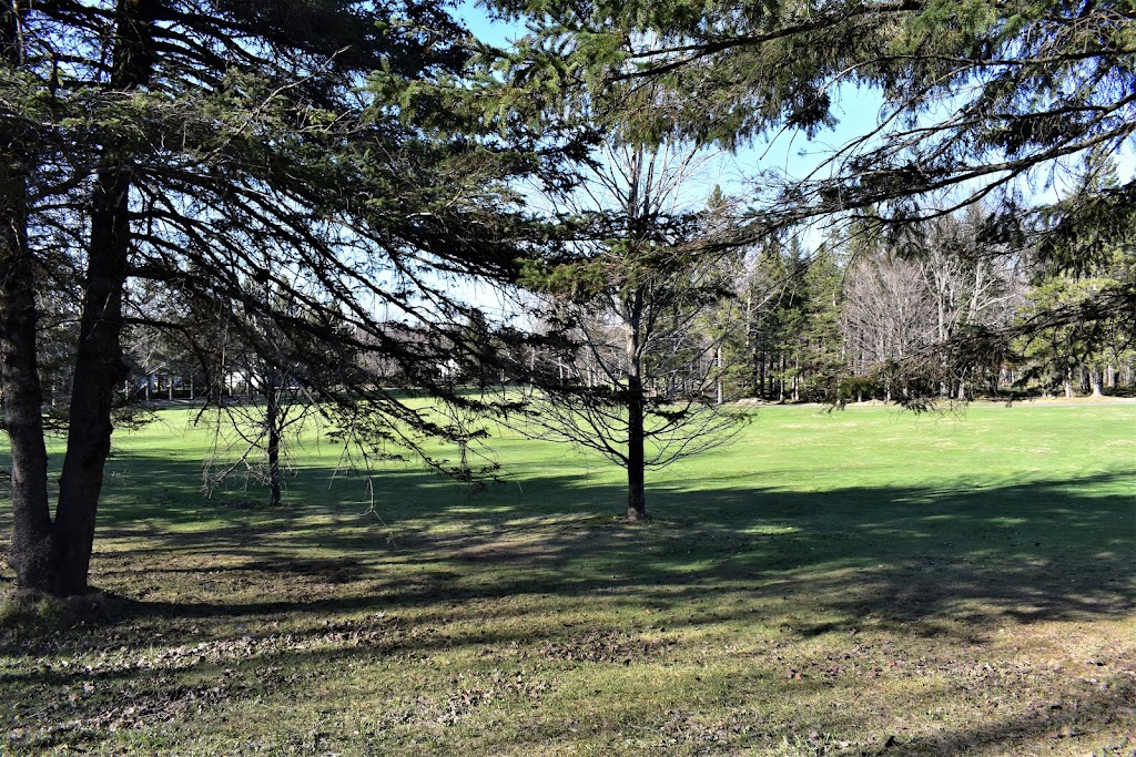 Club de Golf Dorchester | 29, route 275 N, Frampton, QC G0R 1M0, Canada | Phone: (418) 479-5589