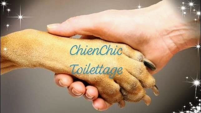 Chien Chic Toilettage | 256 6th, Deux-Montagnes, QC J7R 3G4, Canada | Phone: (514) 814-1308