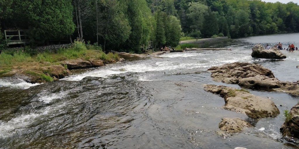 Sauble Falls Provincial Park - pay parking lot | 954-962 Sauble Falls Pkwy, Wiarton, ON N0H 2T0, Canada | Phone: (519) 422-1952