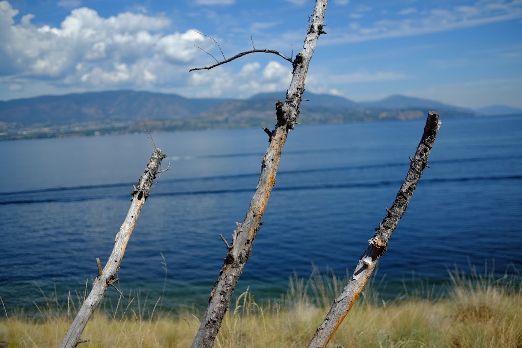 Bertram Creek Regional Park | 5680 Lakeshore Rd, Kelowna, BC V1W 4J4, Canada | Phone: (250) 763-4918