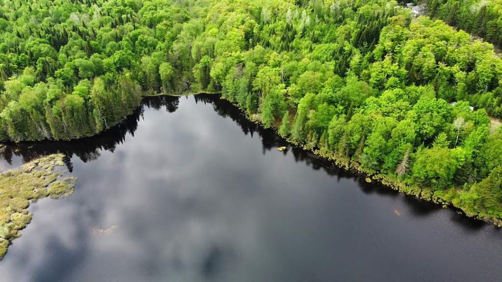 Éco Shack Nuitopia | 602-604, Rte Transcanadienne, Lac-Saguay, QC J0W 1L0, Canada | Phone: (450) 512-9846