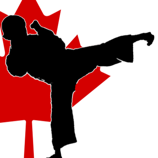 Stittsville Taekwon-Do | 2 Mulkins St, Stittsville, ON K2S 0R8, Canada | Phone: (613) 868-8541