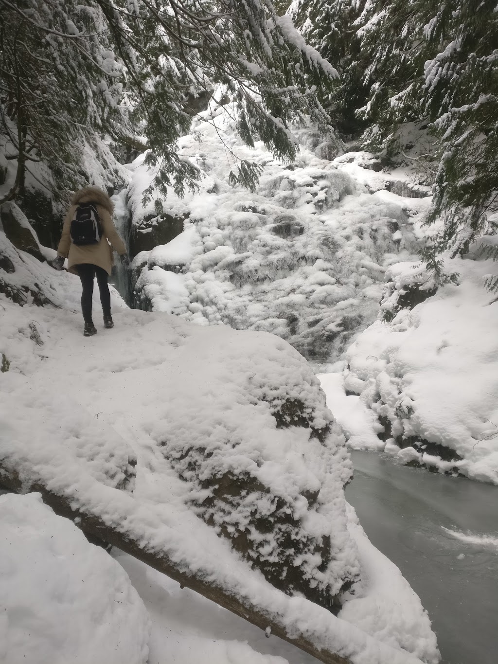 Kennedy Falls | North Vancouver, BC V7K 3B2, Canada