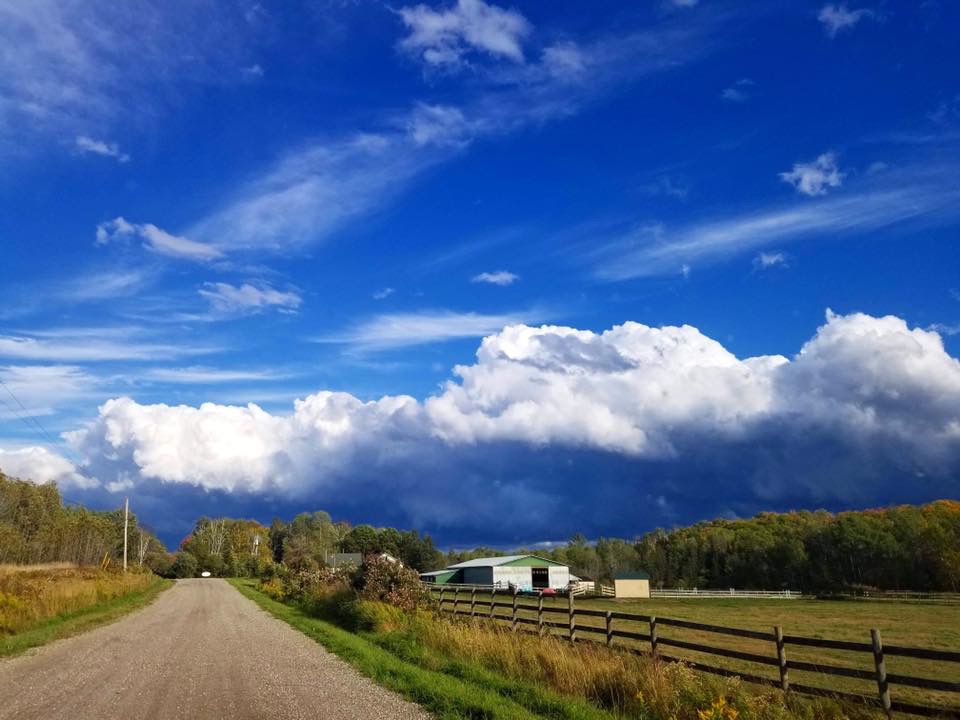 Ever After Equestrian Services | 15 Woodcock Rd, Massey, ON P0P 1P0, Canada | Phone: (289) 260-9048