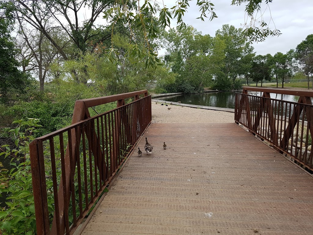 Wascana Waterfowl Park Display Ponds | Lakeshore Dr, Regina, SK S4S, Canada | Phone: (306) 522-3661