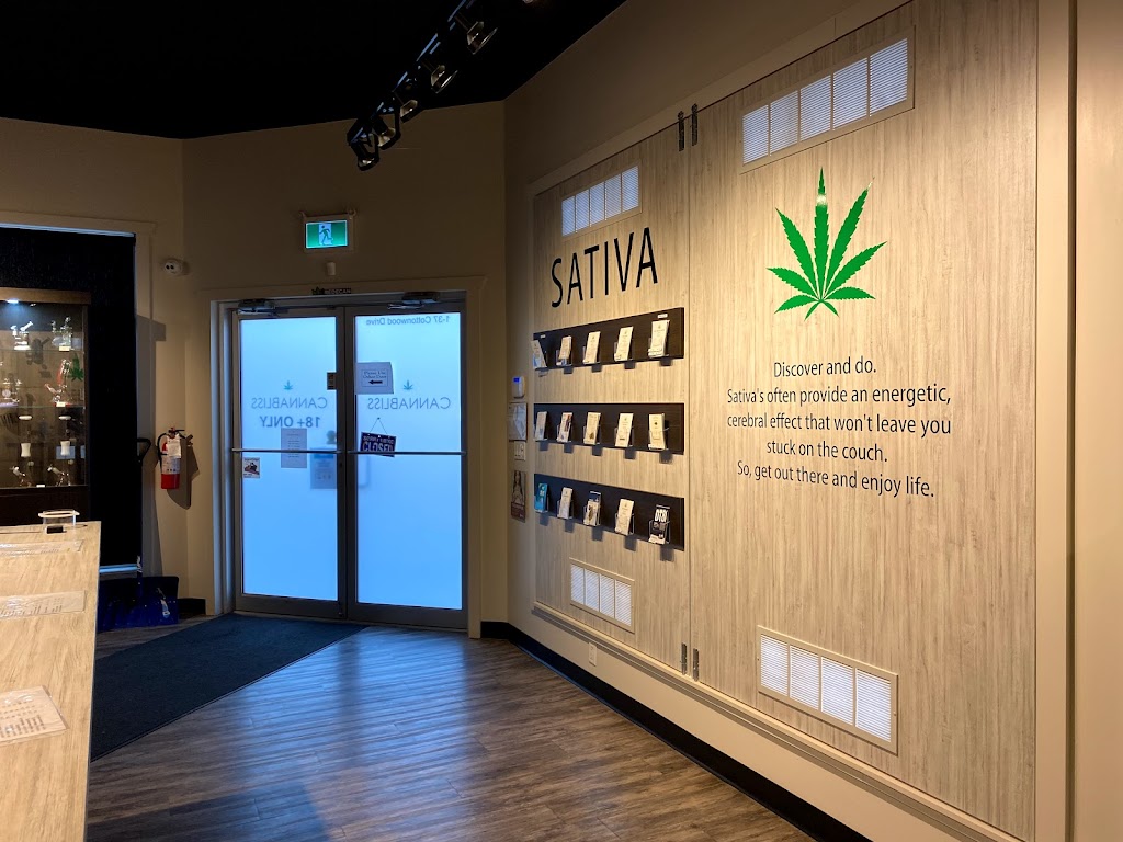 Cannabliss - Blackfalds | 37 Cottonwood Dr #1, Blackfalds, AB T0M 0J0, Canada | Phone: (403) 600-7770