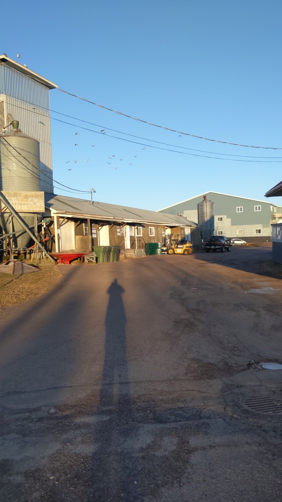 Oleary feed mill | OLeary, PE C0B 1V0, Canada | Phone: (902) 859-2772