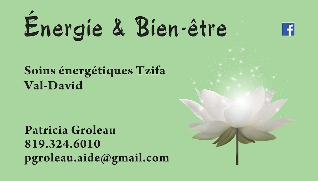 Énergie & Bien-être - Tzifa | 2227 Rue Boutin, Val-David, QC J0T 2N0, Canada | Phone: (819) 324-6010