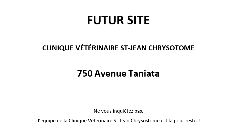 Clinique vétérinaire St-Jean Chrysostome | 811 Avenue Taniata, Saint-Jean-Chrysostome, QC G6Z 2E1, Canada | Phone: (418) 834-7999