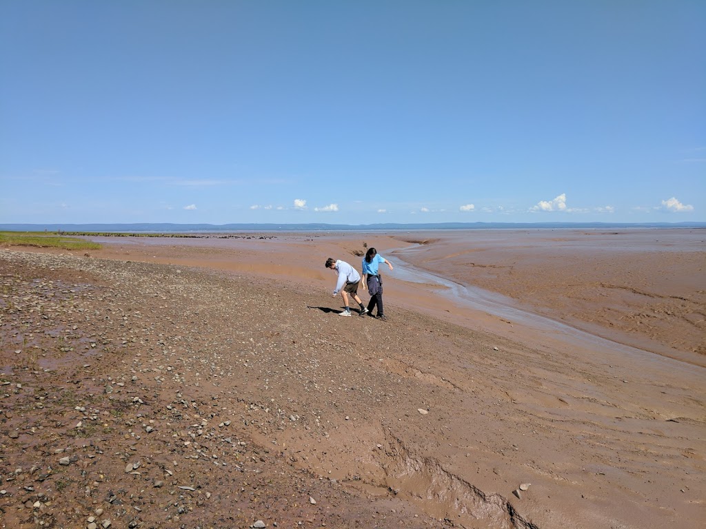 Beautiful Views At Low Tide | 38 Lighthouse Ln, Maitland, NS B0N 1T0, Canada