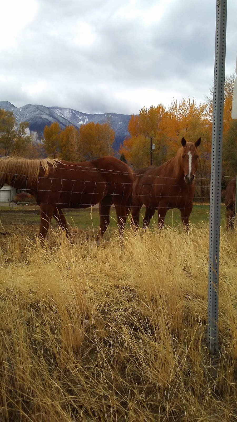 South Similkameen Museum | 604 6 Ave, Keremeos, BC V0X 1N5, Canada