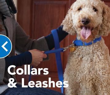 PetSmart | 13239 Yonge St Unit C1, Richmond Hill, ON L4E 1B6, Canada | Phone: (905) 773-0959