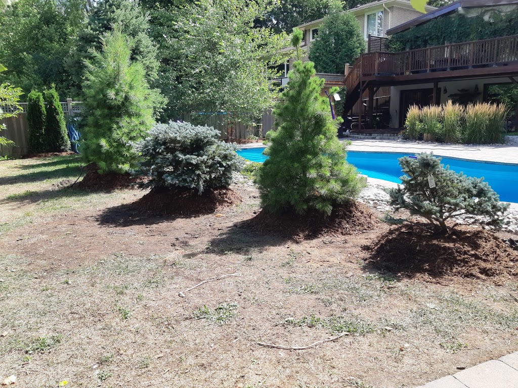 Alellandscaping Inc. | 62 Ivy Glen Dr, Maple, ON L6A 0P3, Canada | Phone: (416) 318-8144